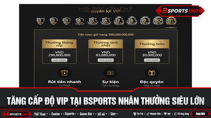 Bảng quyền lợi các cấp độ VIP của Bsports với phần thưởng tiền mặt